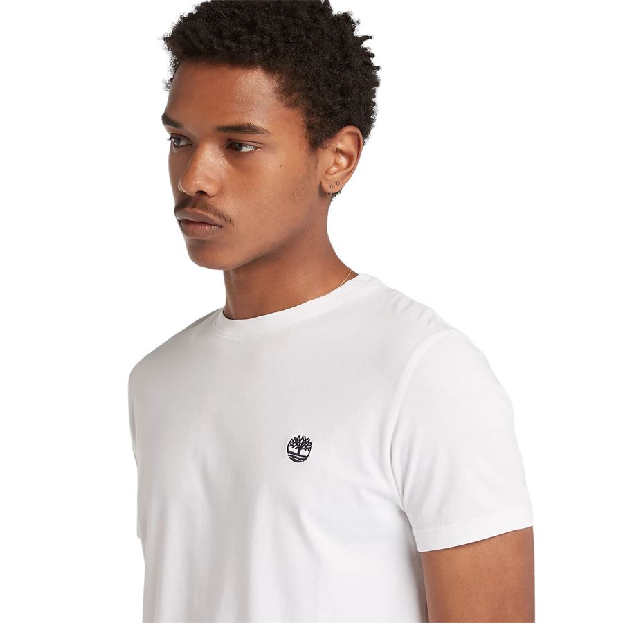 T-shirt Dunstan River da uomo Timberland | TB0A2BPR100